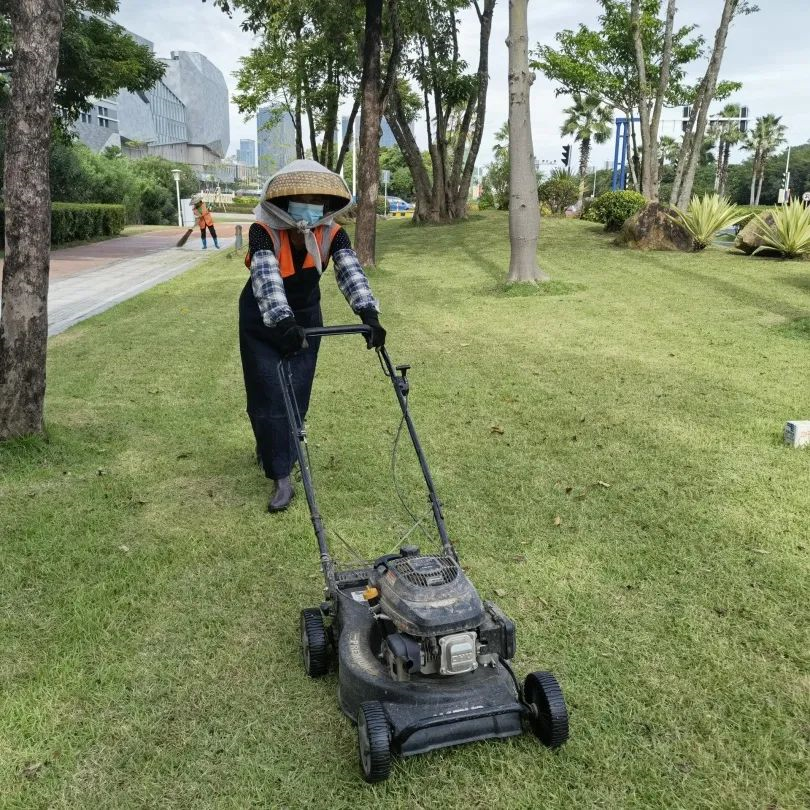 1665391692484970.png image.png