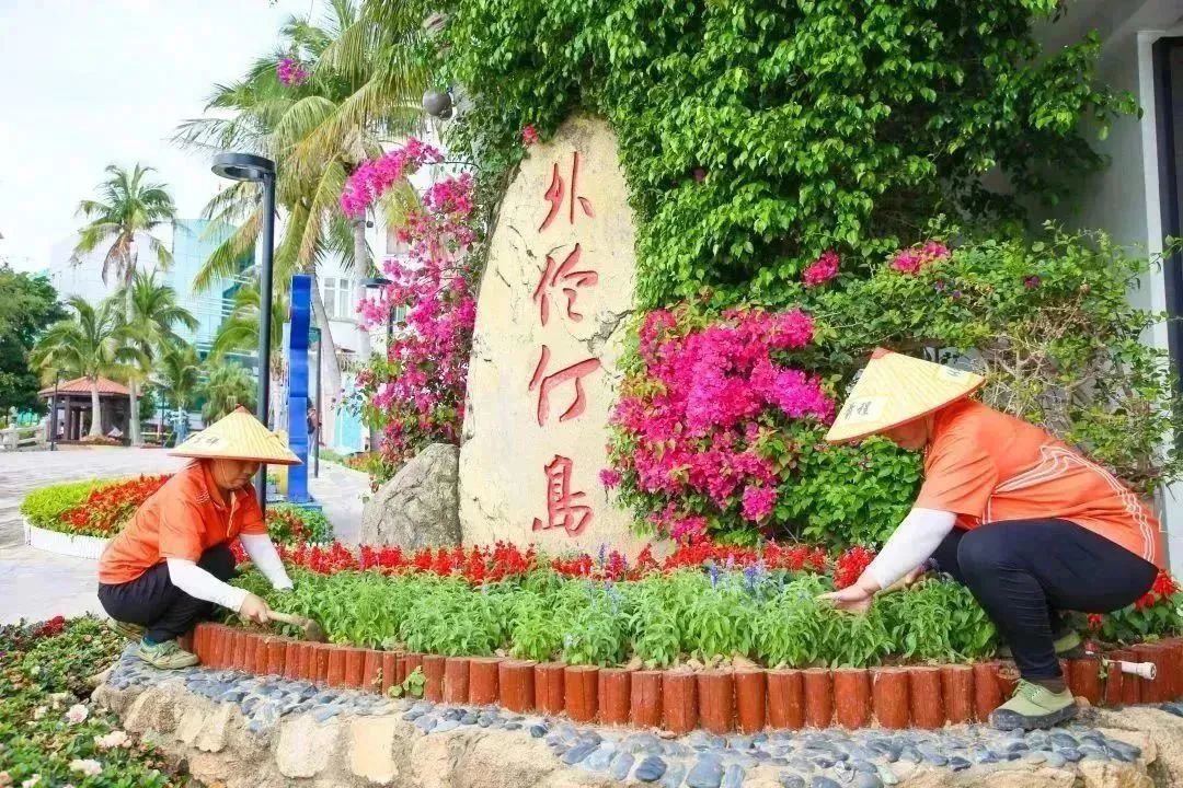 1685951032154790.jpg 9.jpg