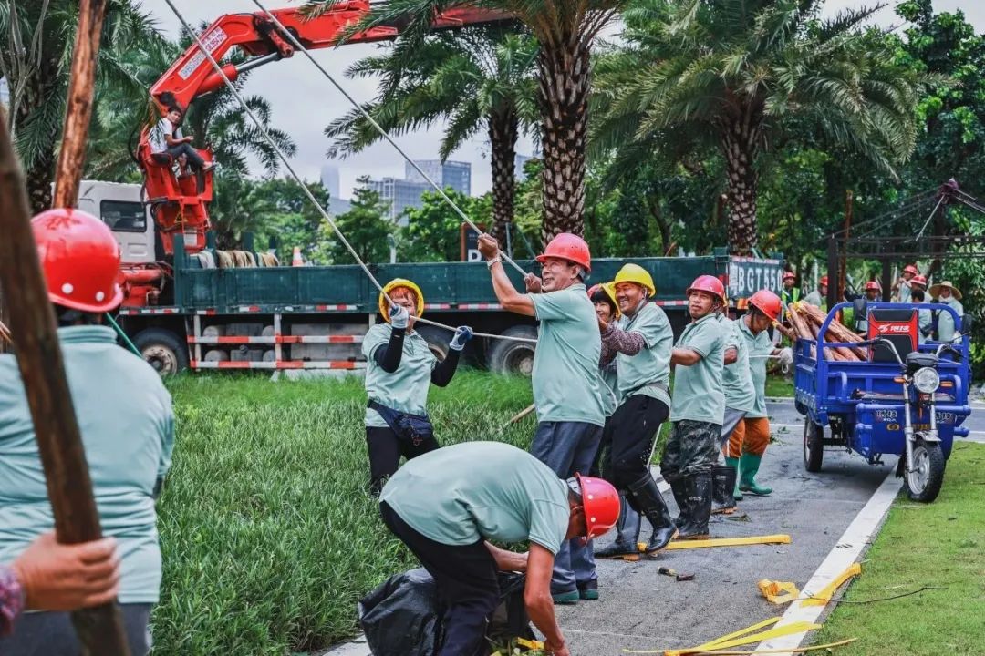 1693876689434719.jpg 13.jpg