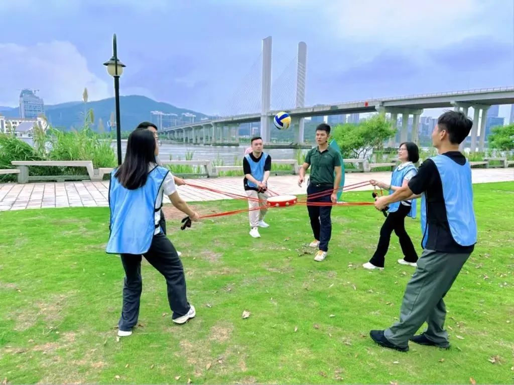 1695000910401354.jpg 6.jpg