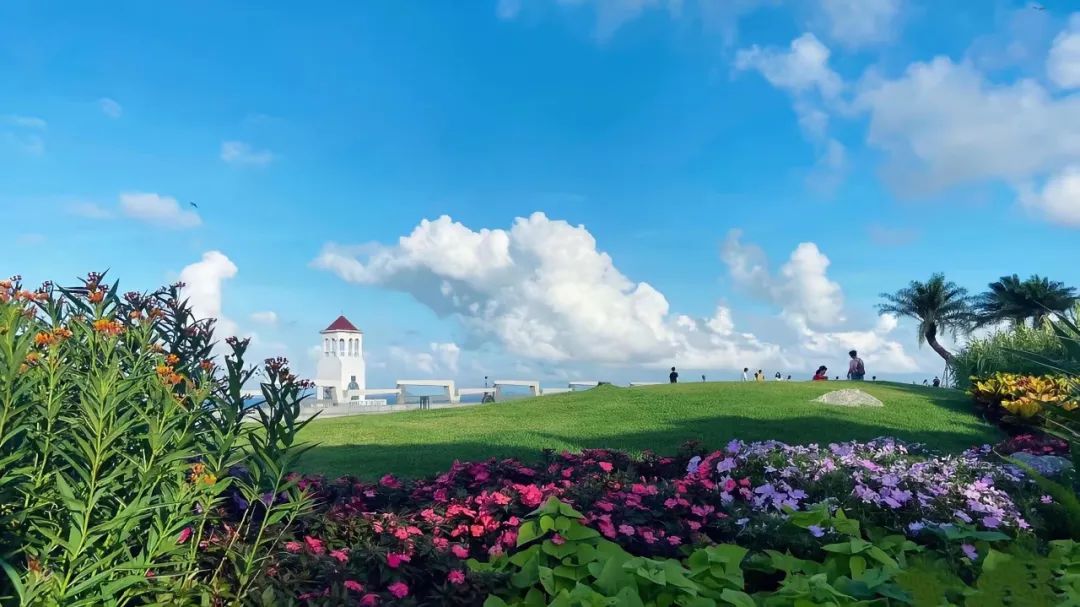 1715154042584578.jpg 13.jpg